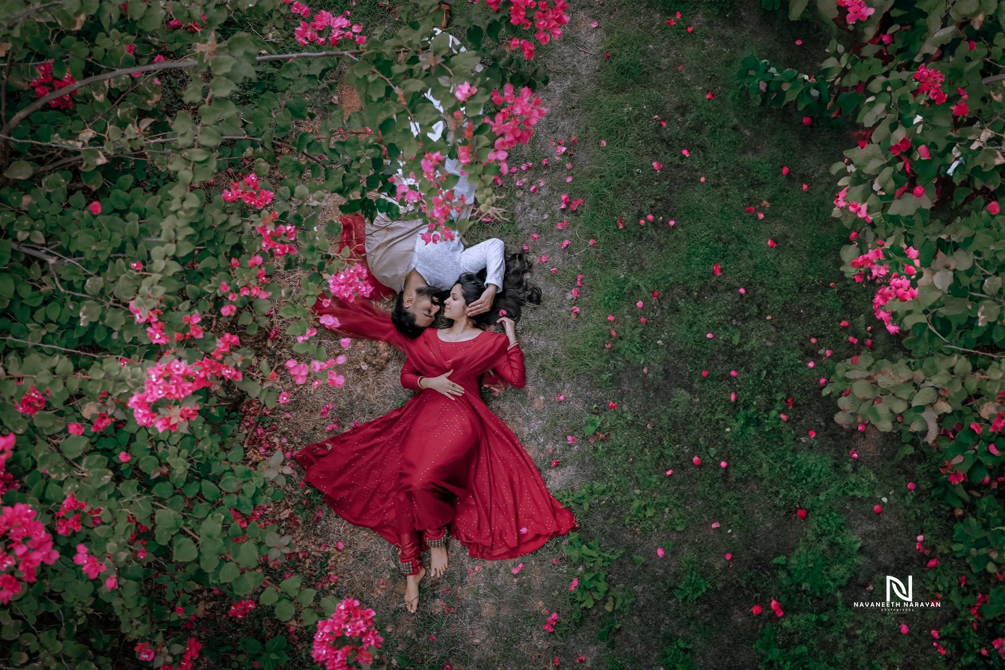 A Frame Full of Wonder